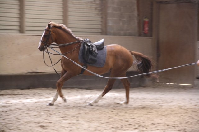 Juin 2010